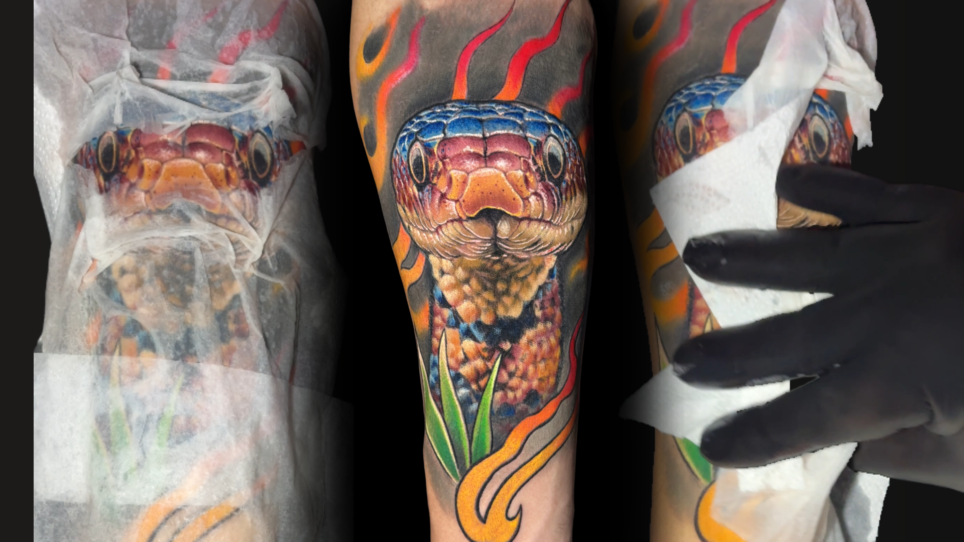 Workshop Escamas de Réptil